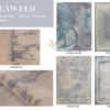 Eco-friendly Luxury Brand Custom New Zealand Wool Handmade Carpet Gold Design Viscose Silk Velvet Rug for Living Room